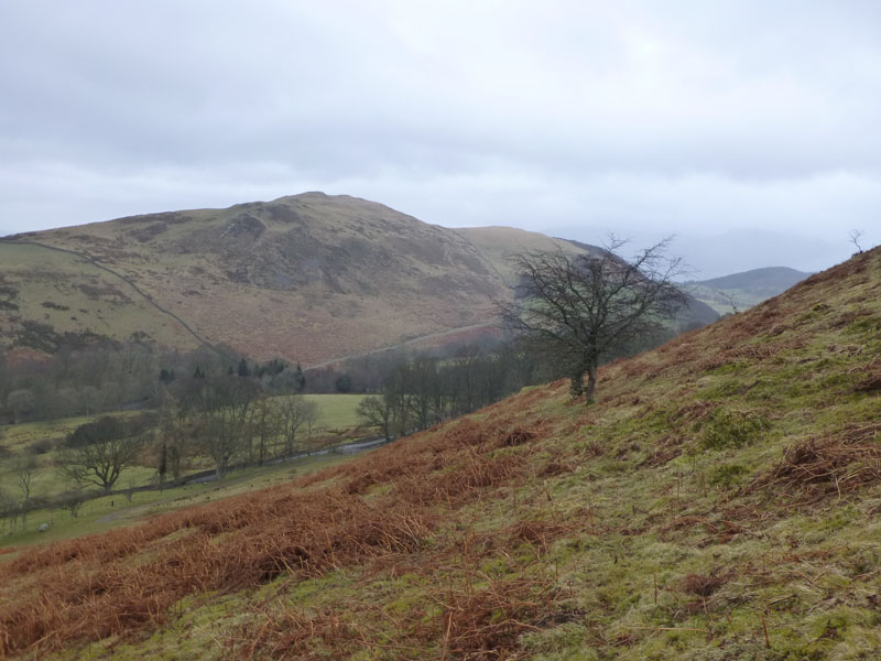 Sale Fell