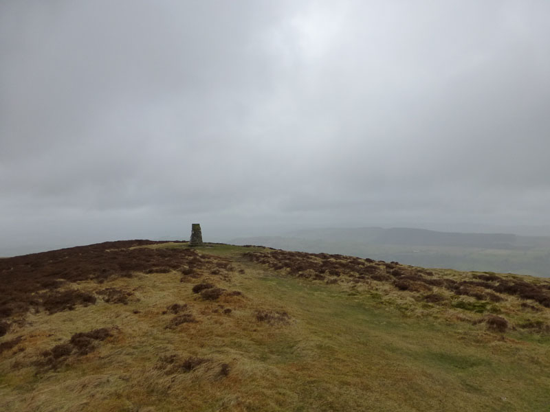 Ling Fell Summit