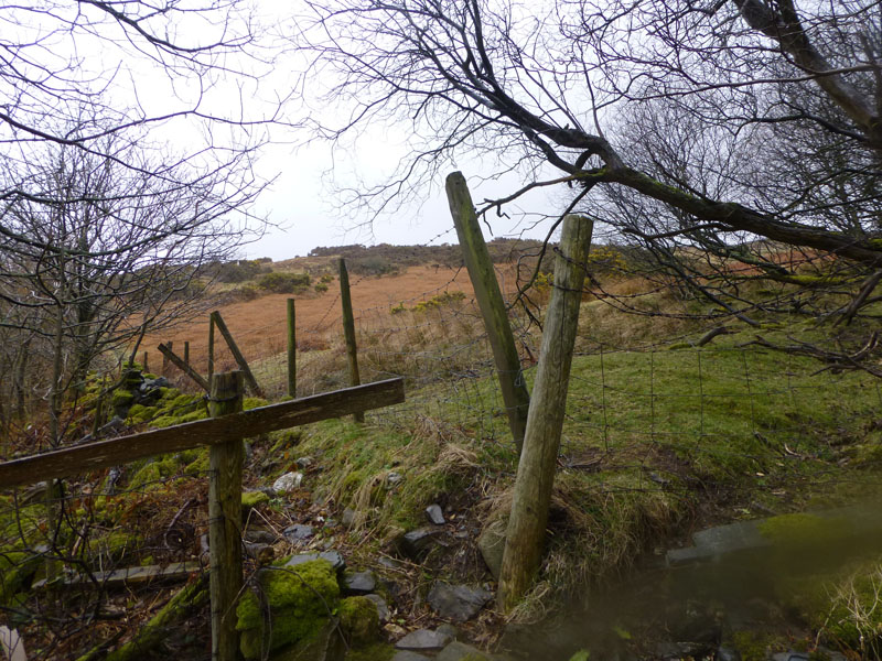 Open Access Land