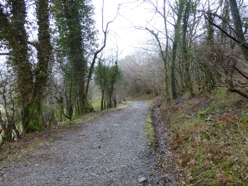 Green Lonning Lane