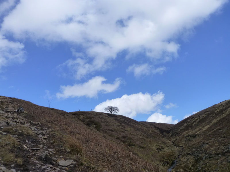 Boar Clough