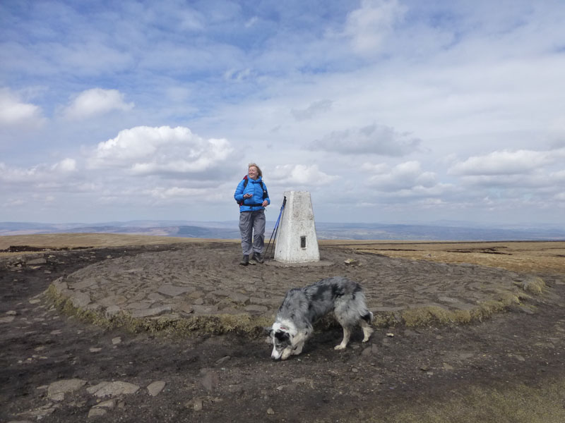 Pendle Summit