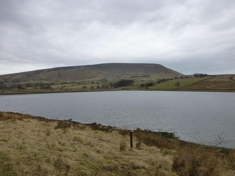 Pendle over Black Moss