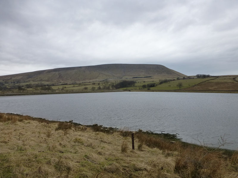 Pendle over Black Moss