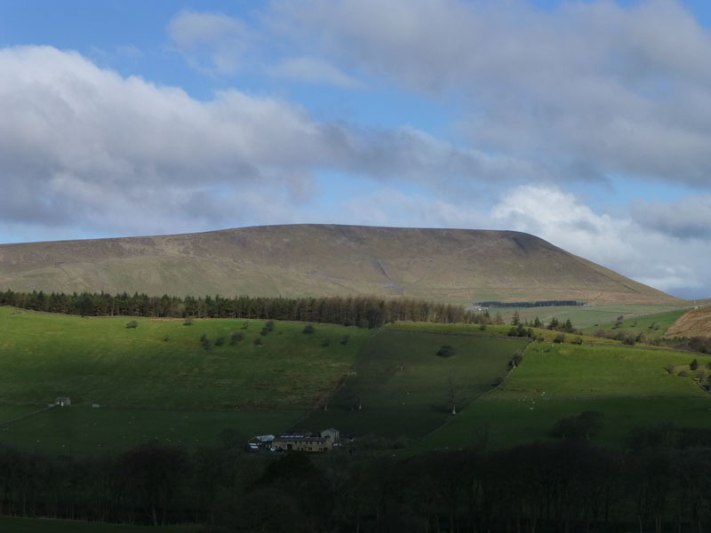 Pendle from Roughlee