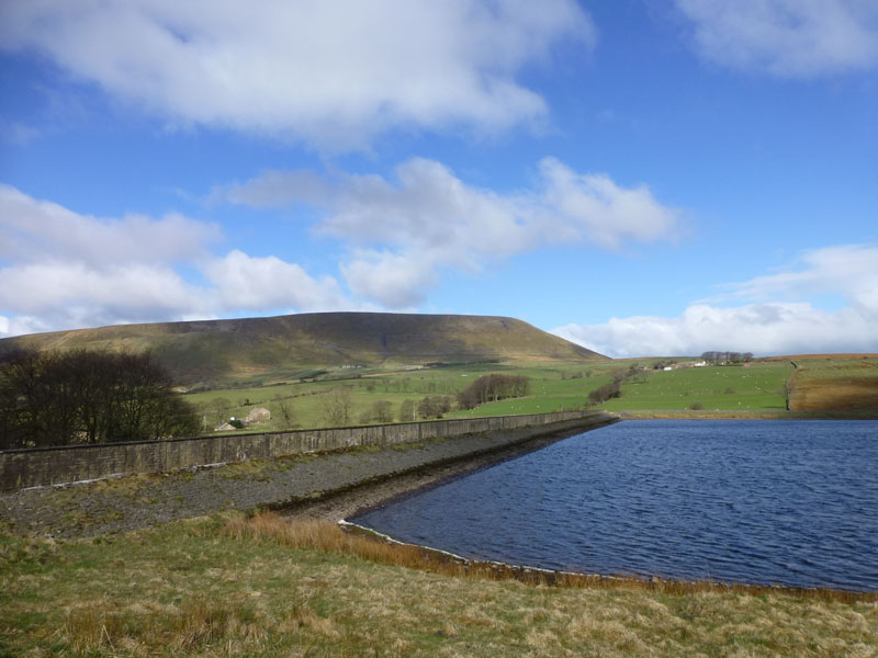 Pendle Lower Black Moss