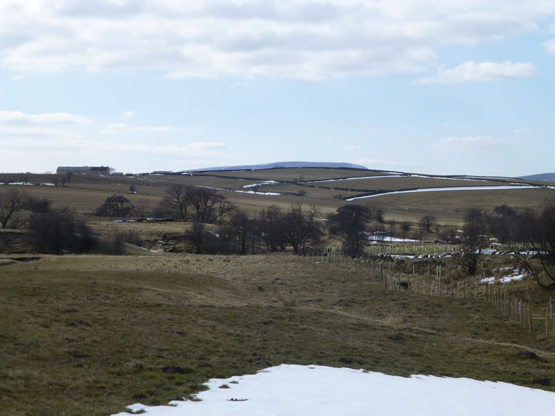 Pendle Hill