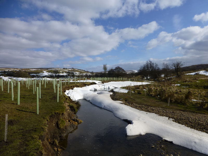 Wycoller Beck