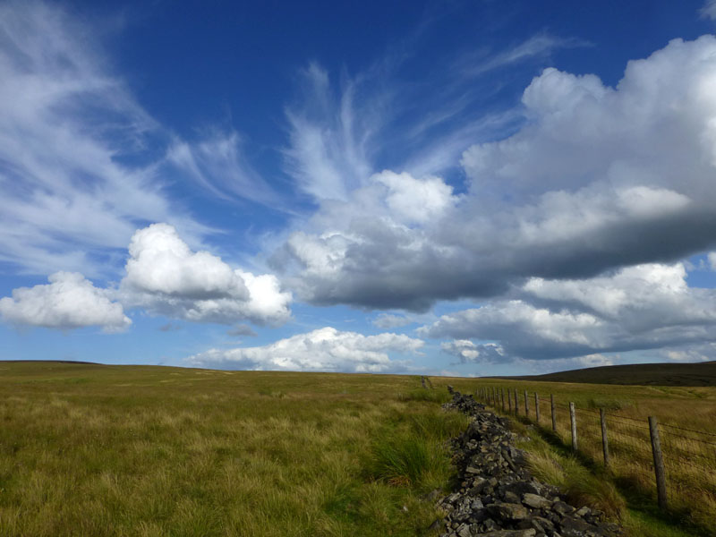 Stone Wall