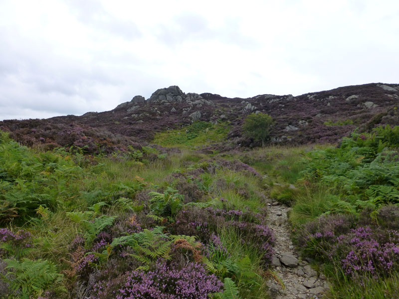 Brund Fell