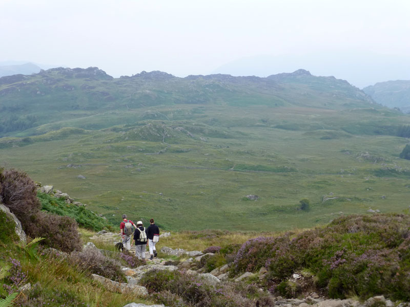 Dock Tarn Walkers