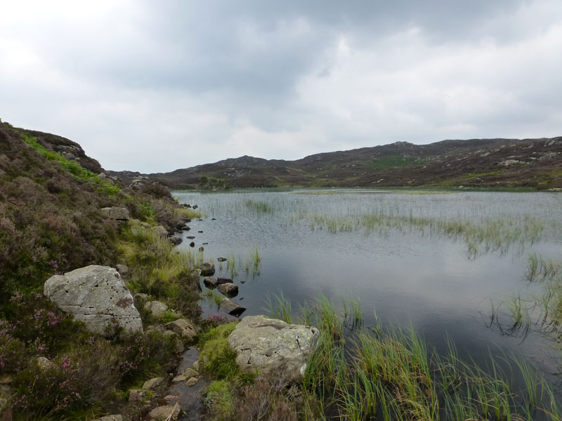 Dock Tarn