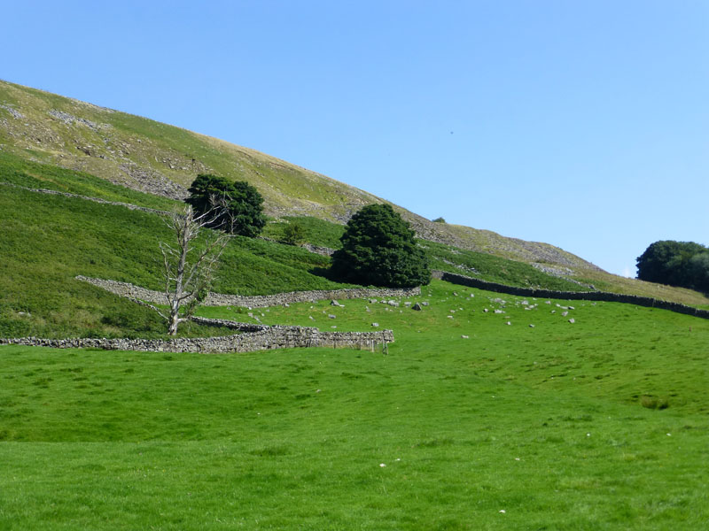 Wensleydale Hills