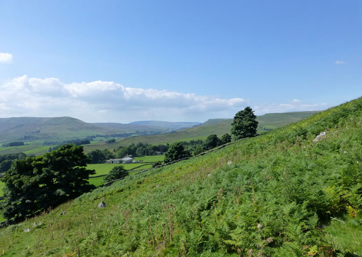 Upper Wensleydale