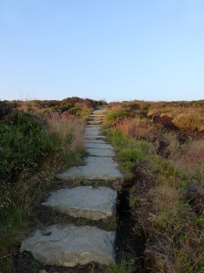 Flagstones
