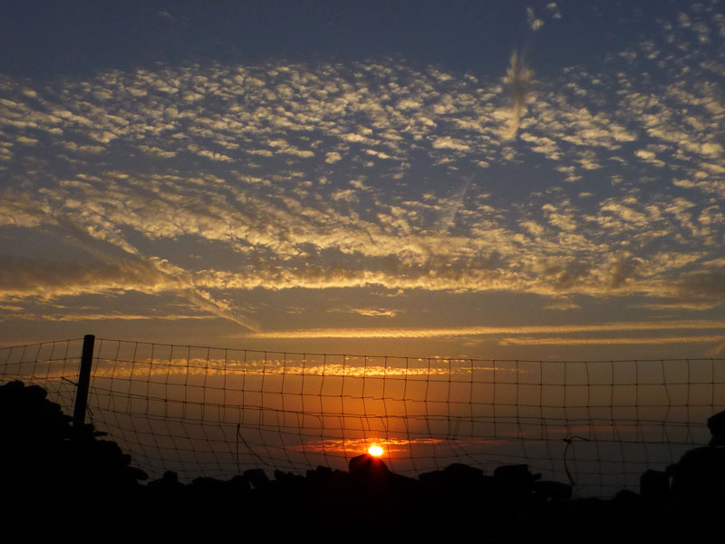 August Sunset