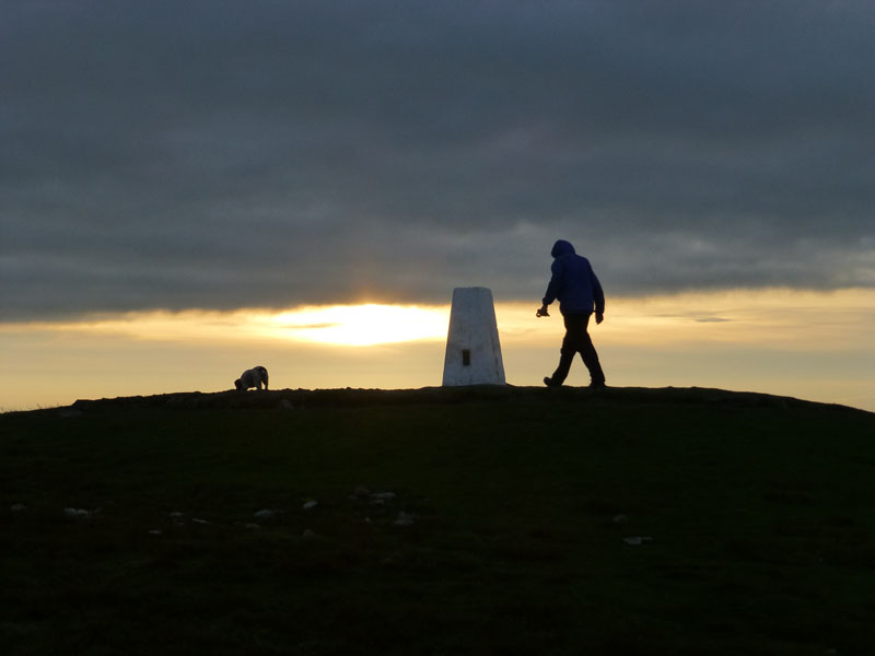 Pendle Walker