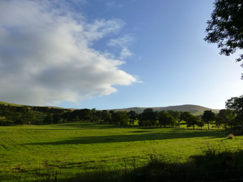 Pendle Skies
