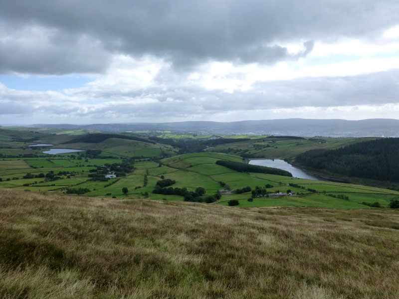 Barley Hill