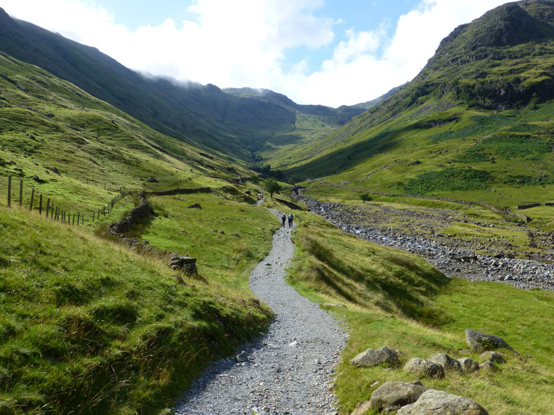 Grains Gill