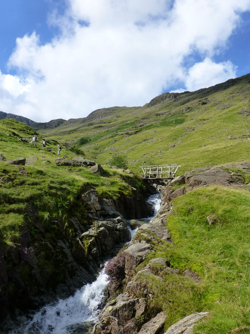 Grains Gill