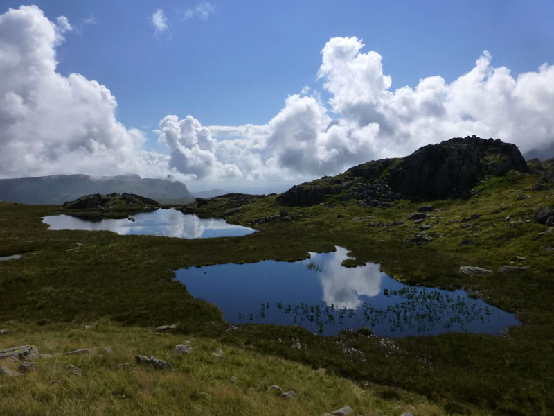 High House Tarn