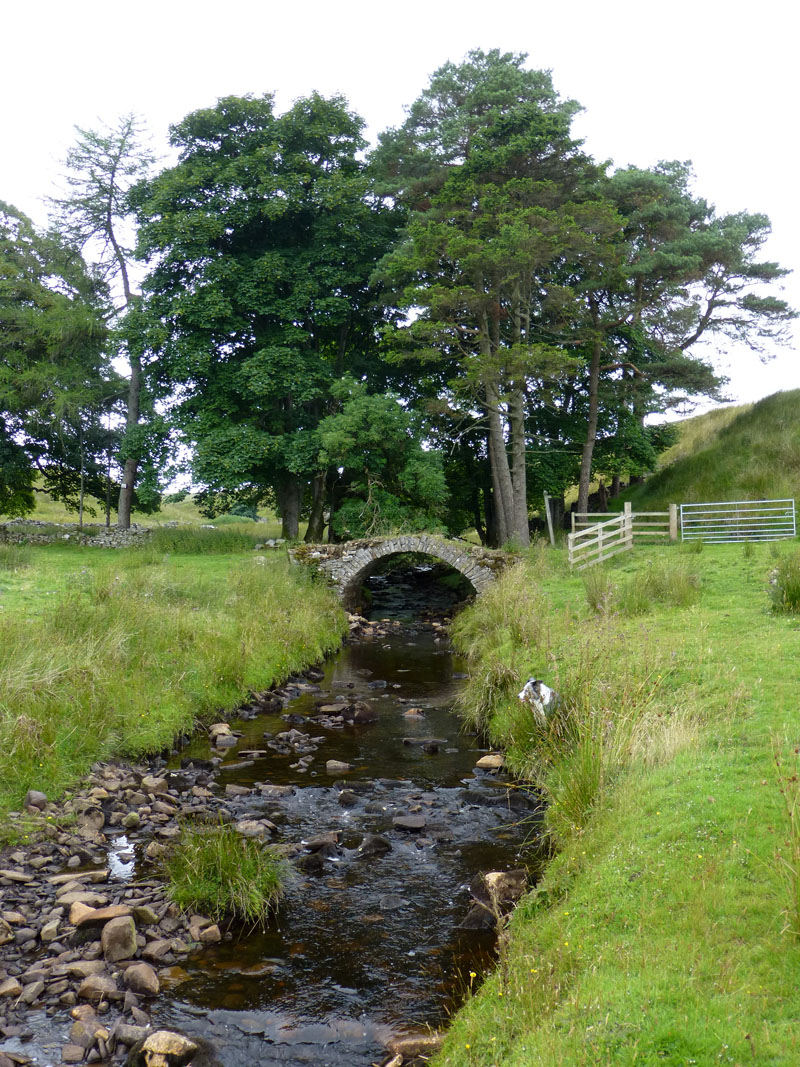 Scale Bridge