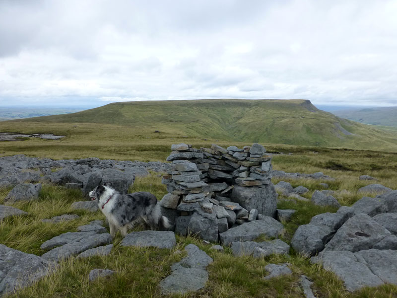 Swarth Fell Top