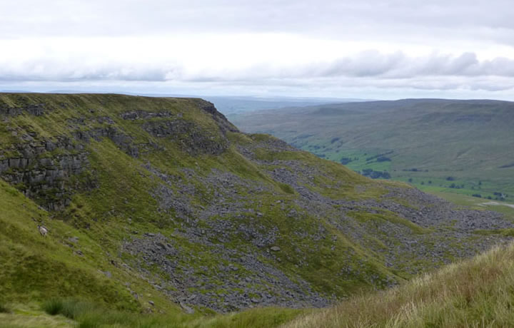 Blackbed Scar