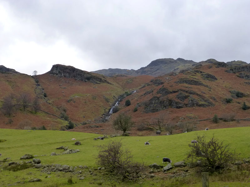 Easedale View