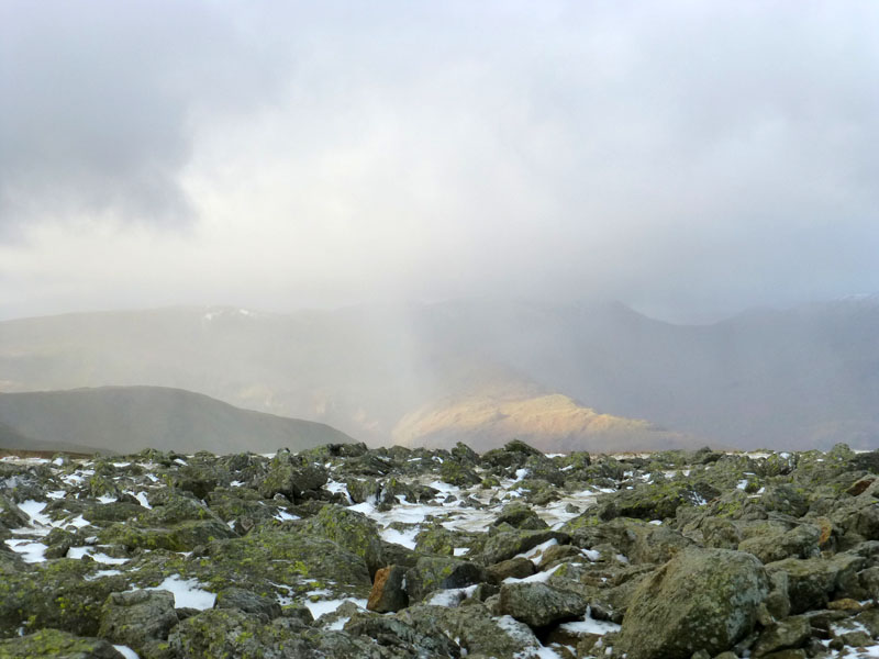 Snow Shower