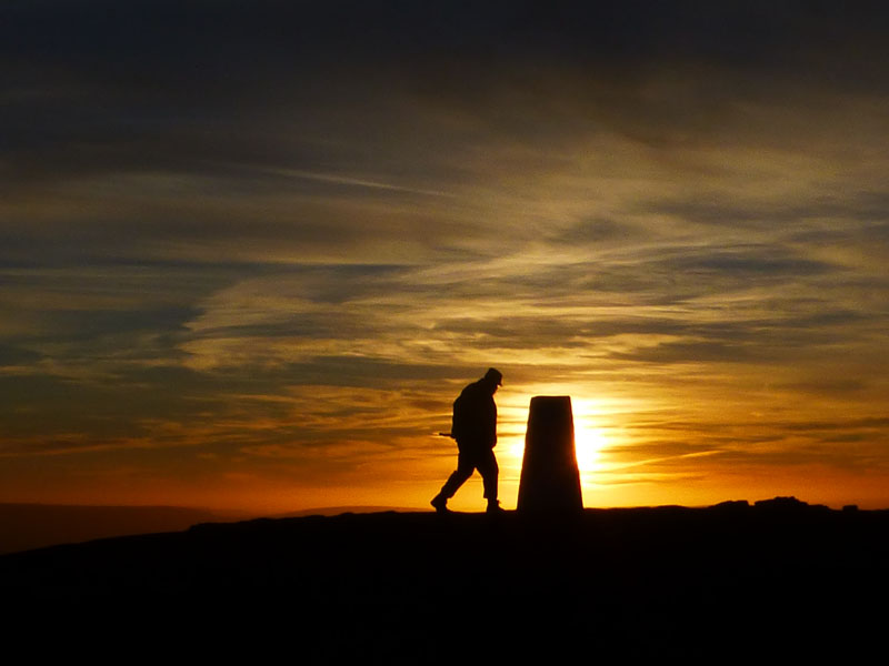 Walker Silhouette