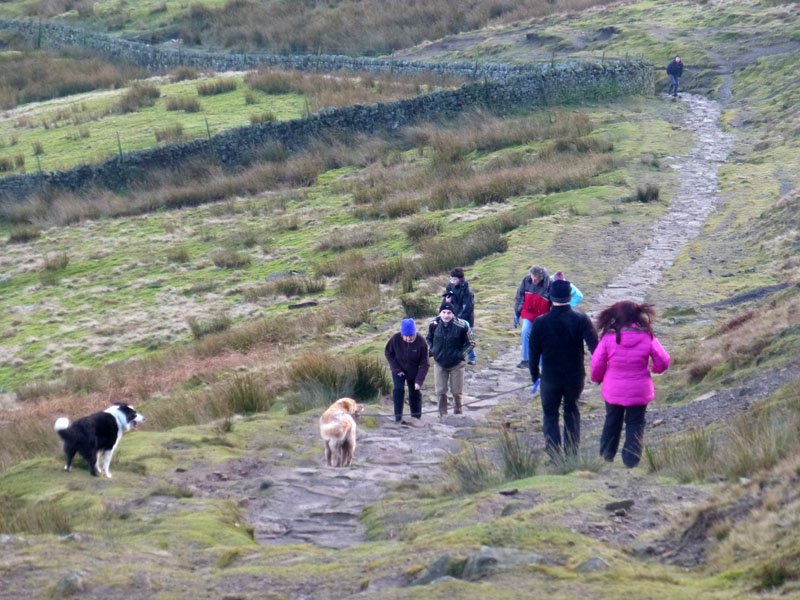 Pendle Walkers