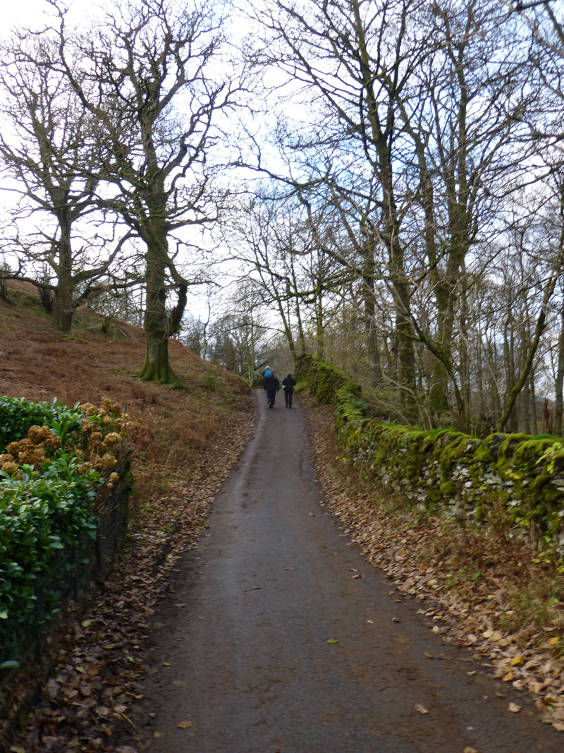 Pelter Bridge