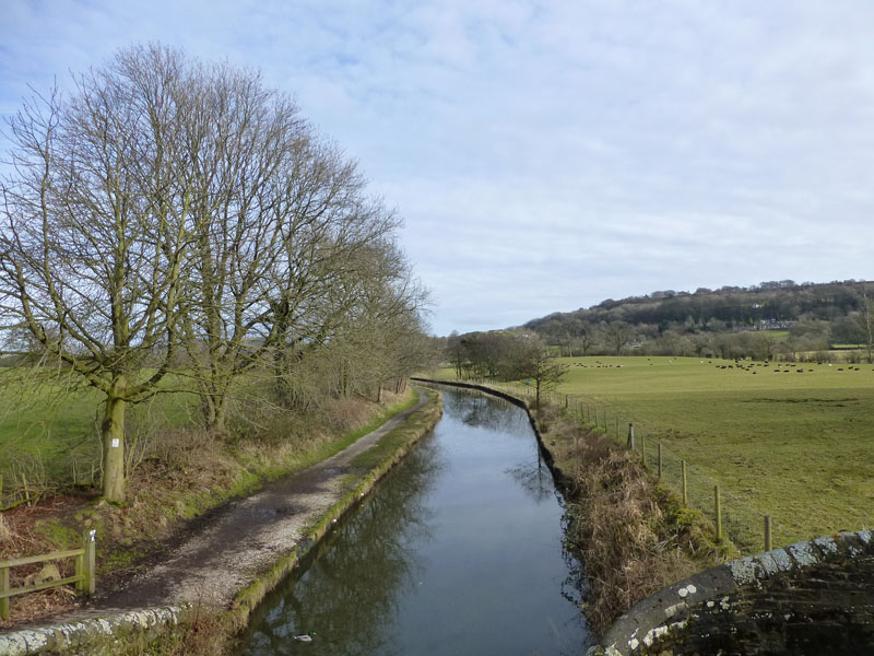 The Macclesfield Canal