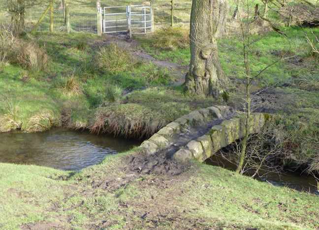 Footbridge in Harrop Dale