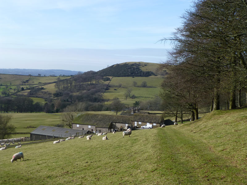 Berristall Hall Farm