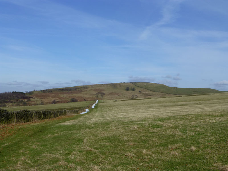 Bakestonedale Moor