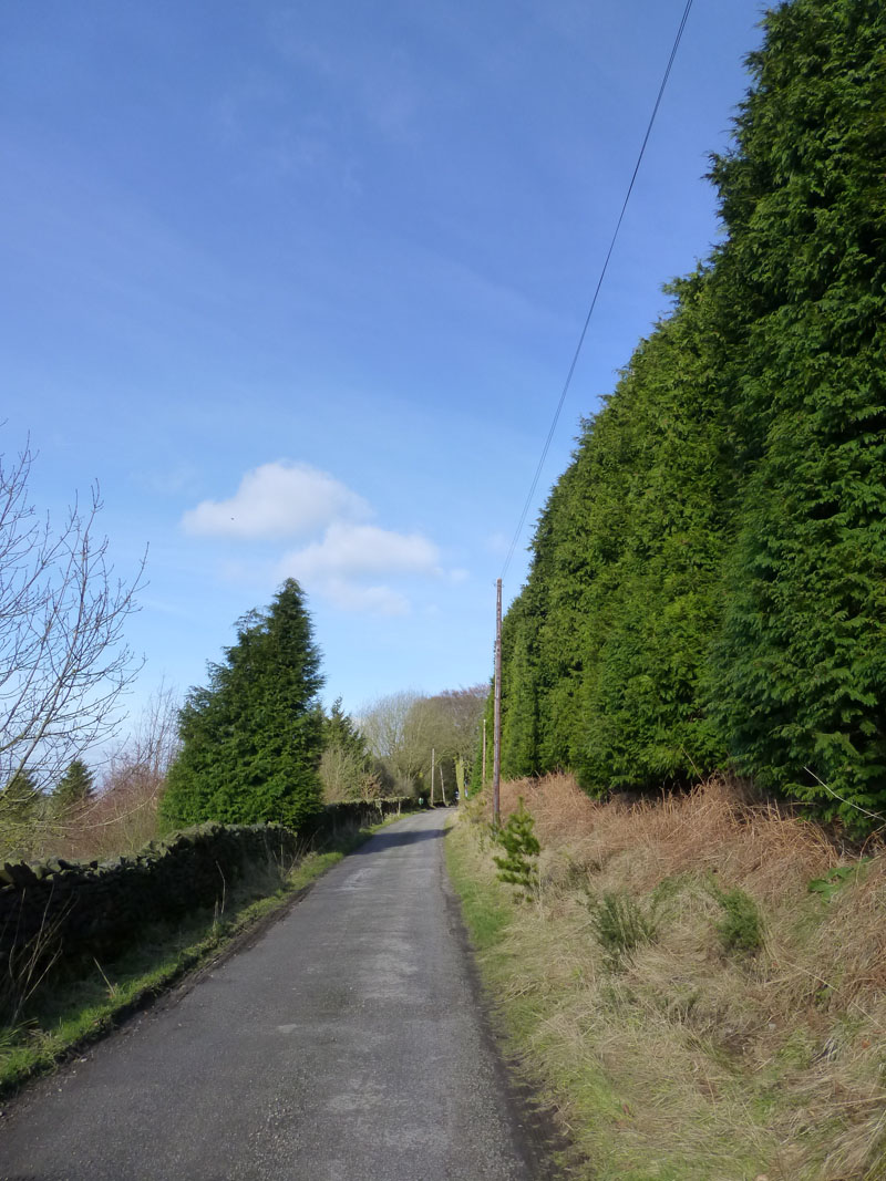 Moorside Lane