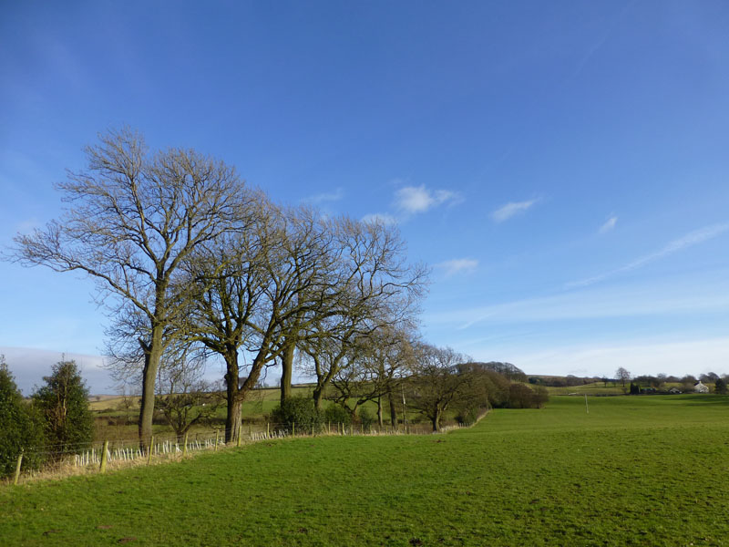 Fields of Lockgate Farm