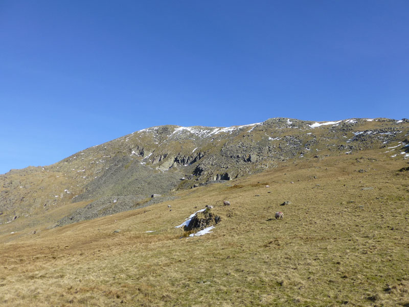 Cove Quarries