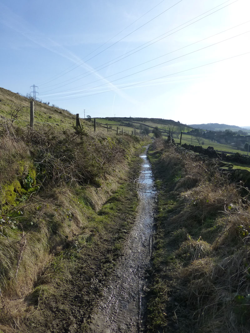 Path to Hareshaw