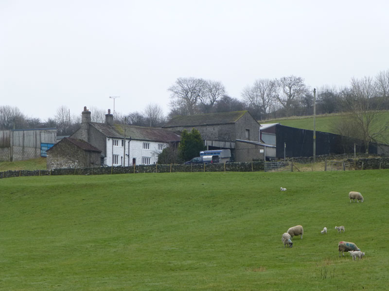 Stansfield Farm