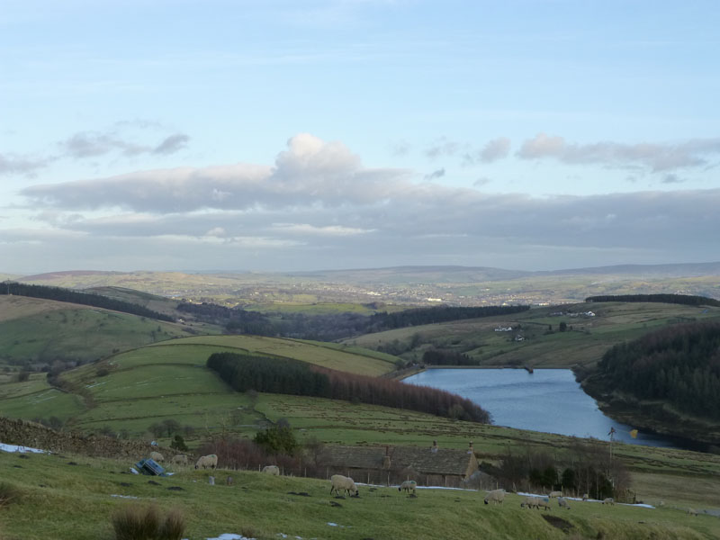 Barley Hill