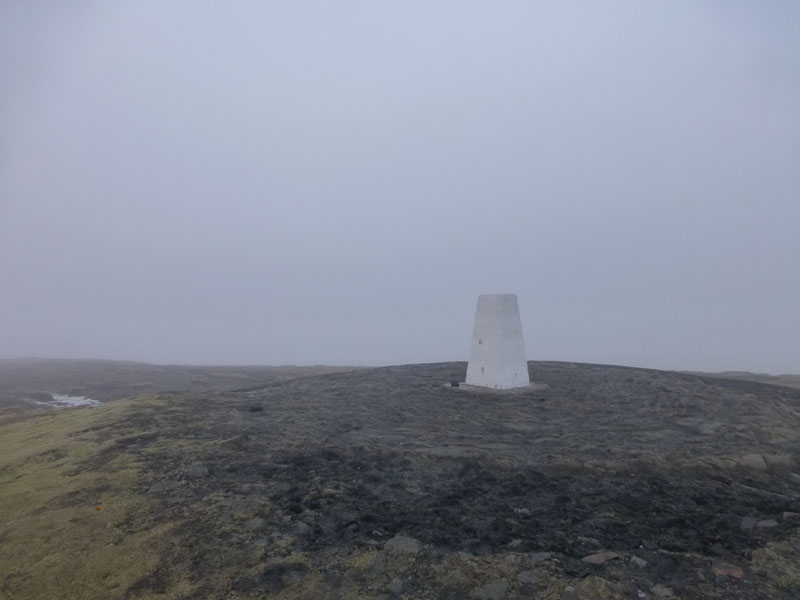 Misty Pendle Summit