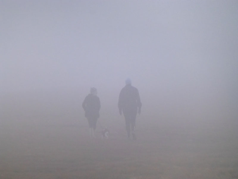 Walkers in the mist