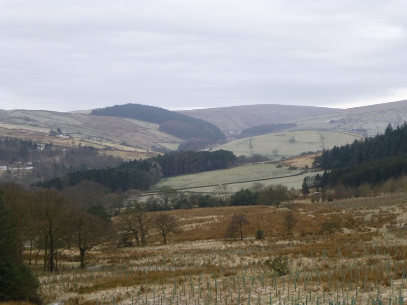 Spence Moor