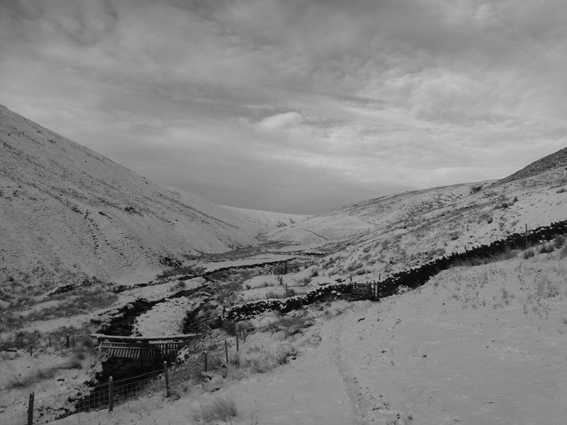 Ogden Clough