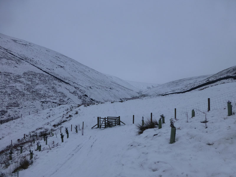 Ogden Clough