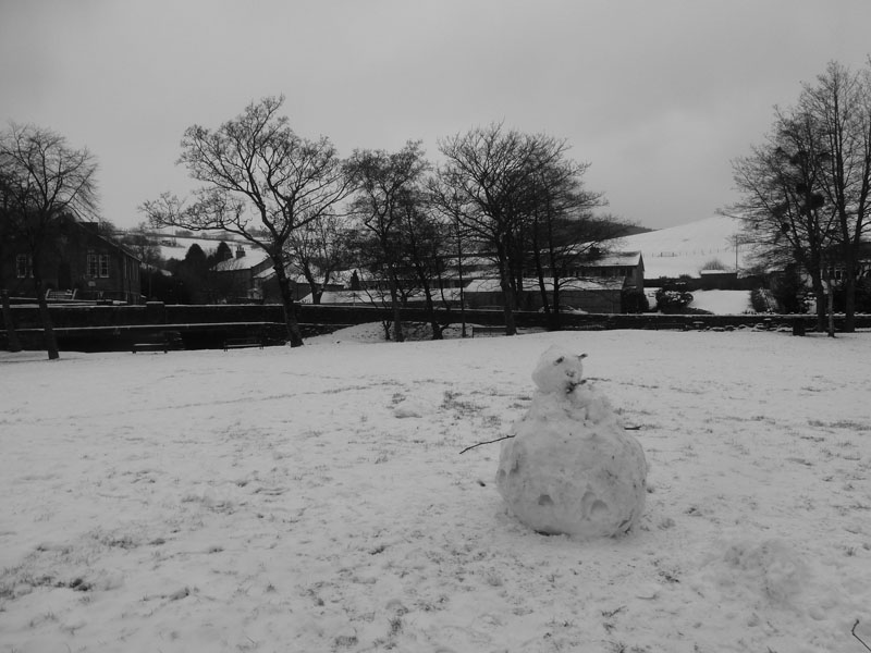 Barley Snowman